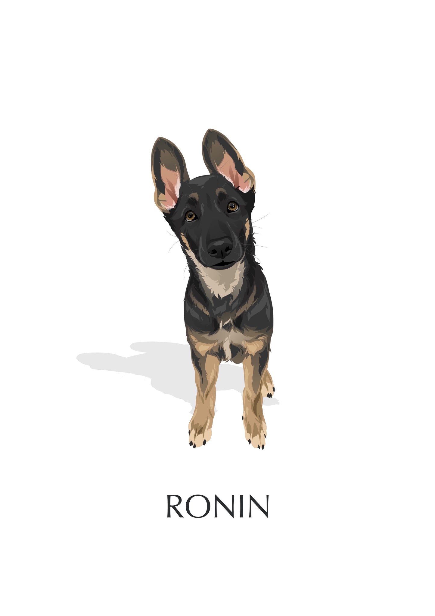 Pet Portrait Illustrated