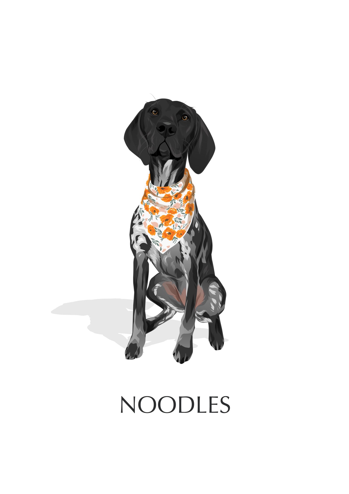 Pet Portrait Illustrated