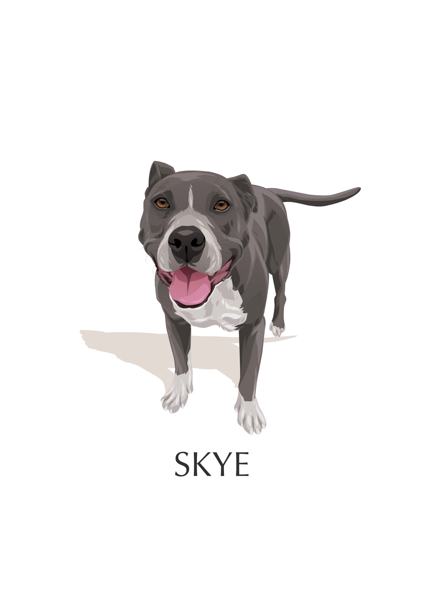 Pet Portrait Illustrated