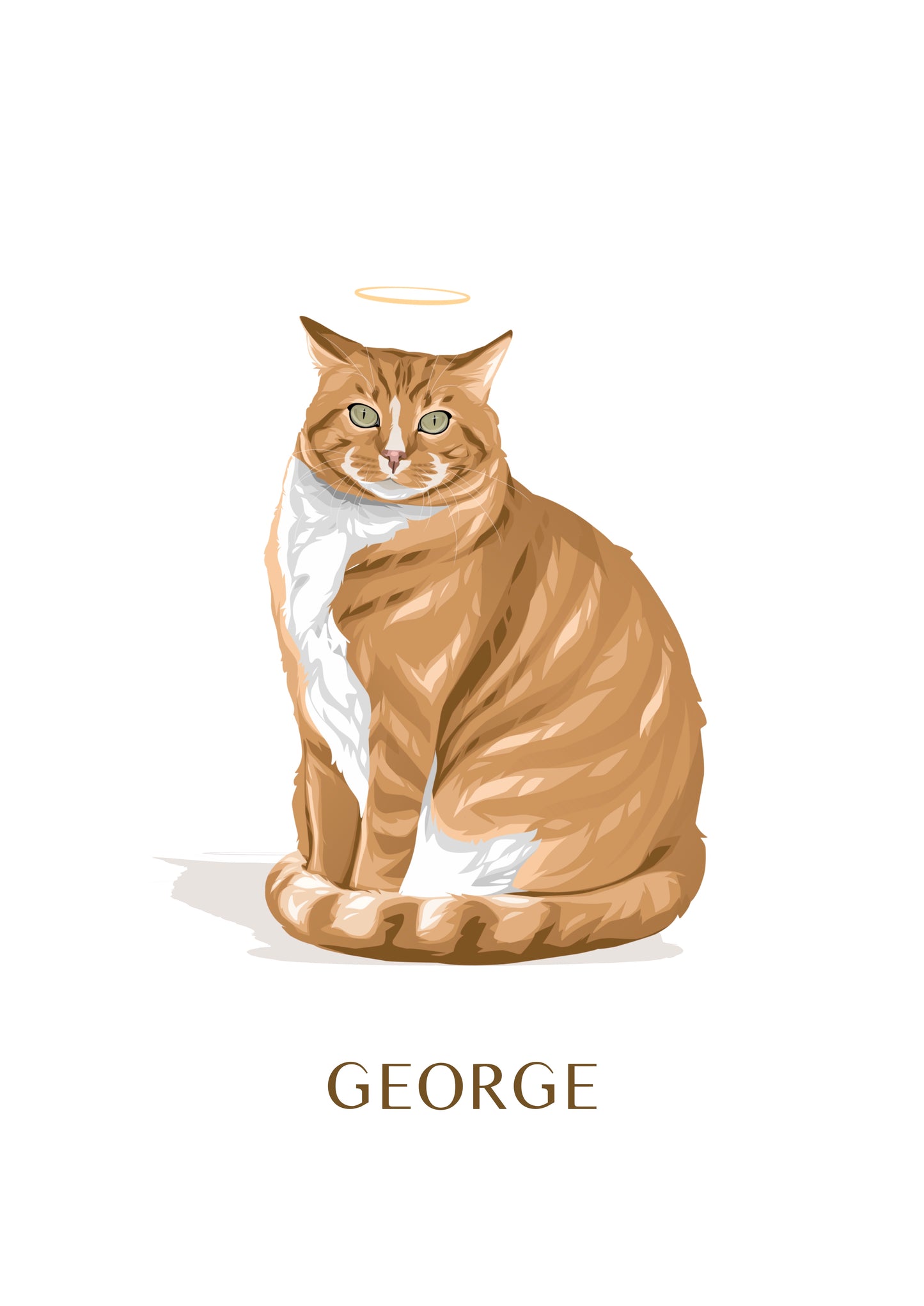 Pet Portrait Illustrated
