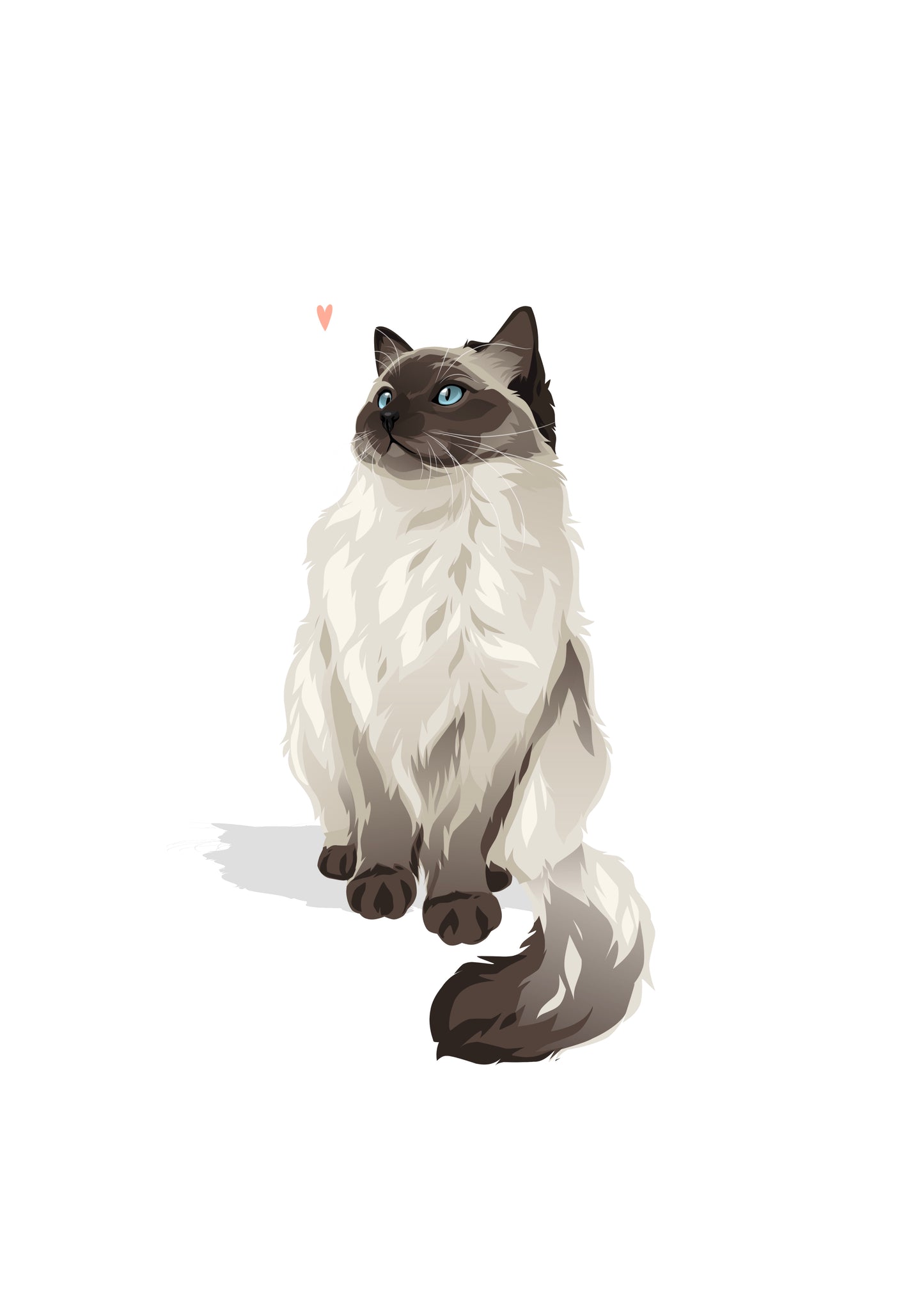 Pet Portrait Illustrated