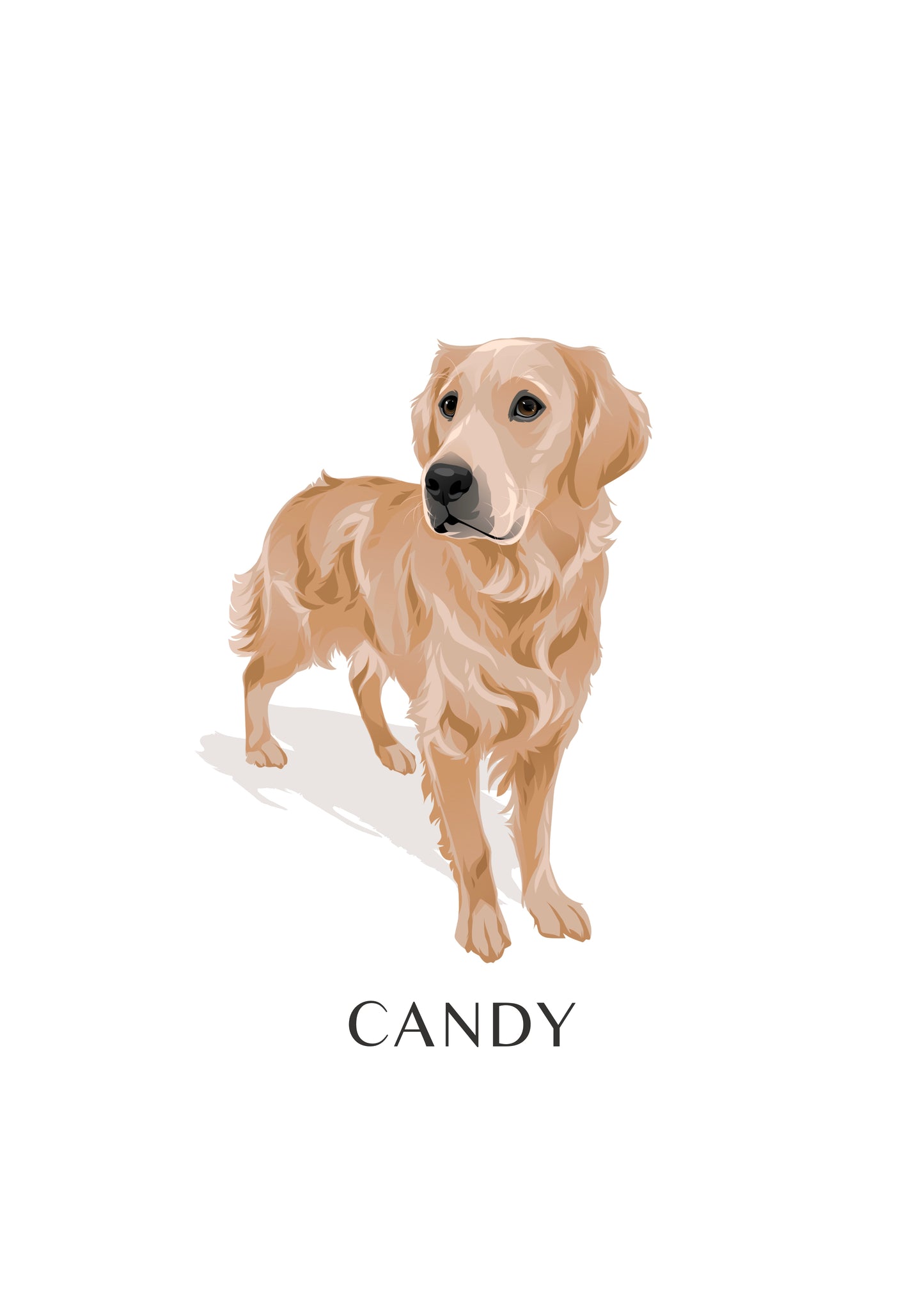 Pet Portrait Illustrated