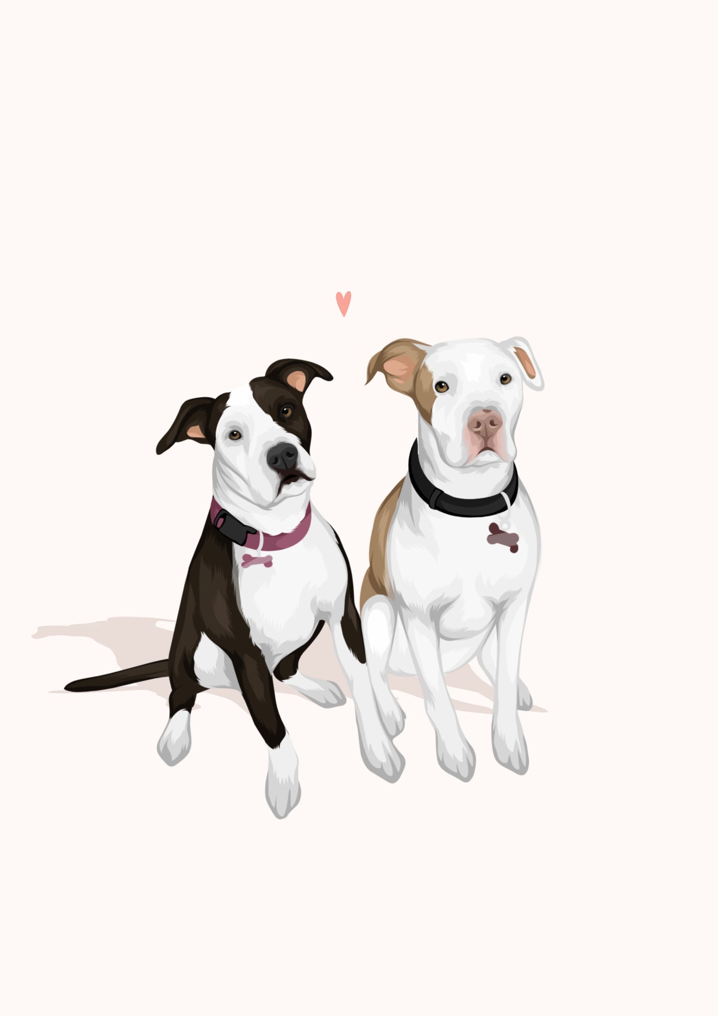 Pet Portrait Illustrated