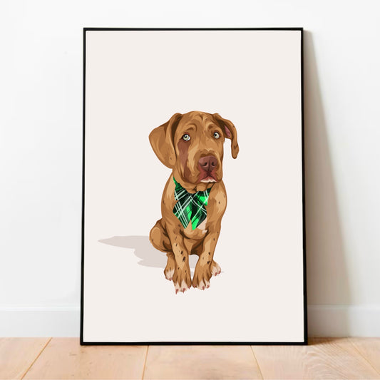 Pet Portrait Illustrated
