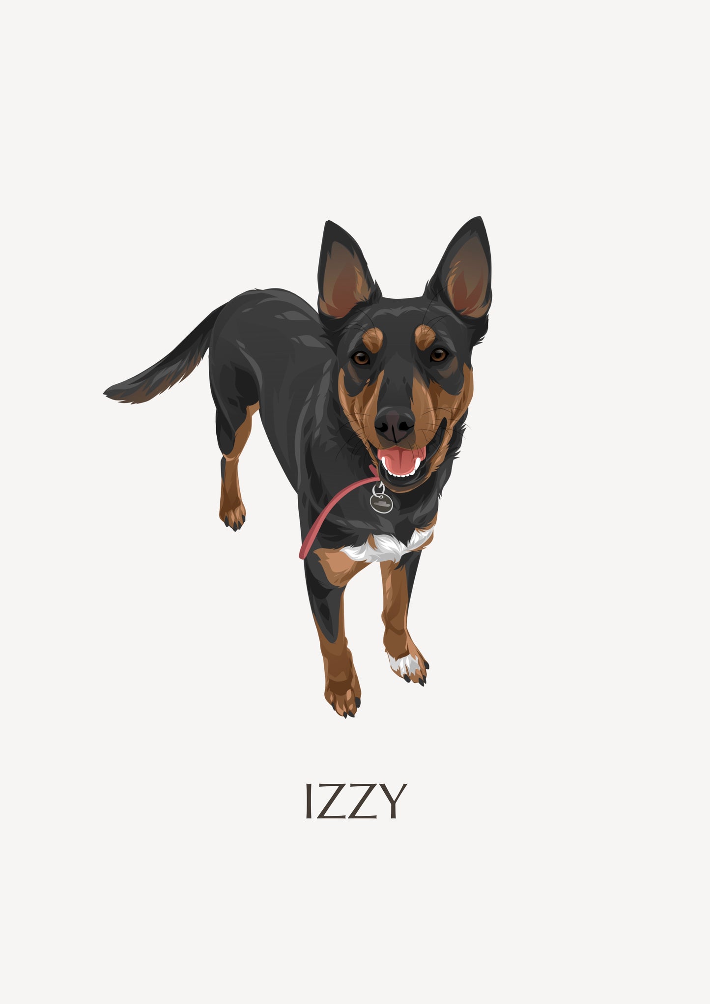 Pet Portrait Illustrated