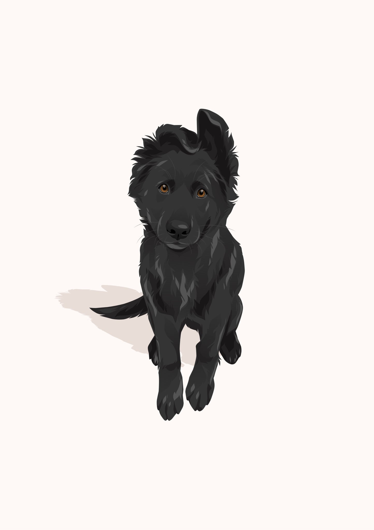 Pet Portrait Illustrated