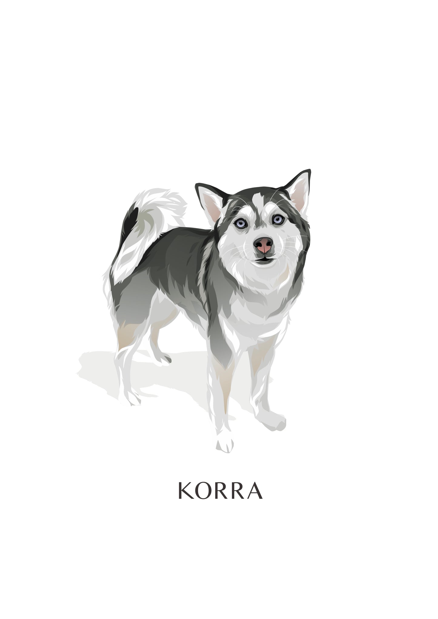 Pet Portrait Illustrated