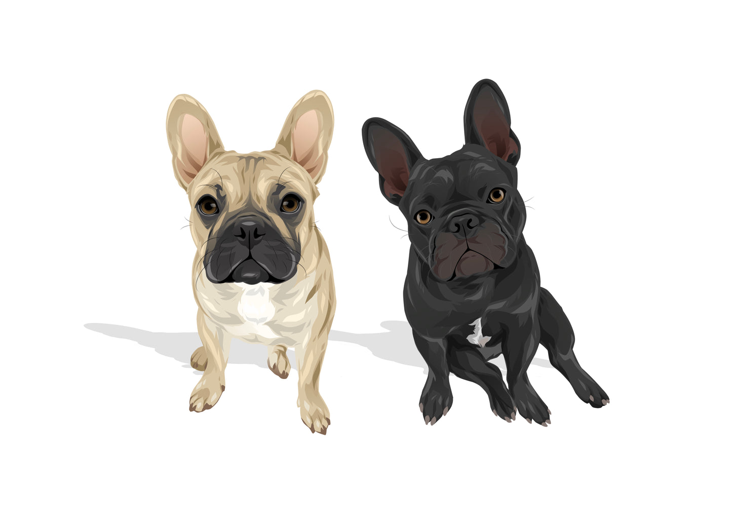 Pet Portrait Illustrated