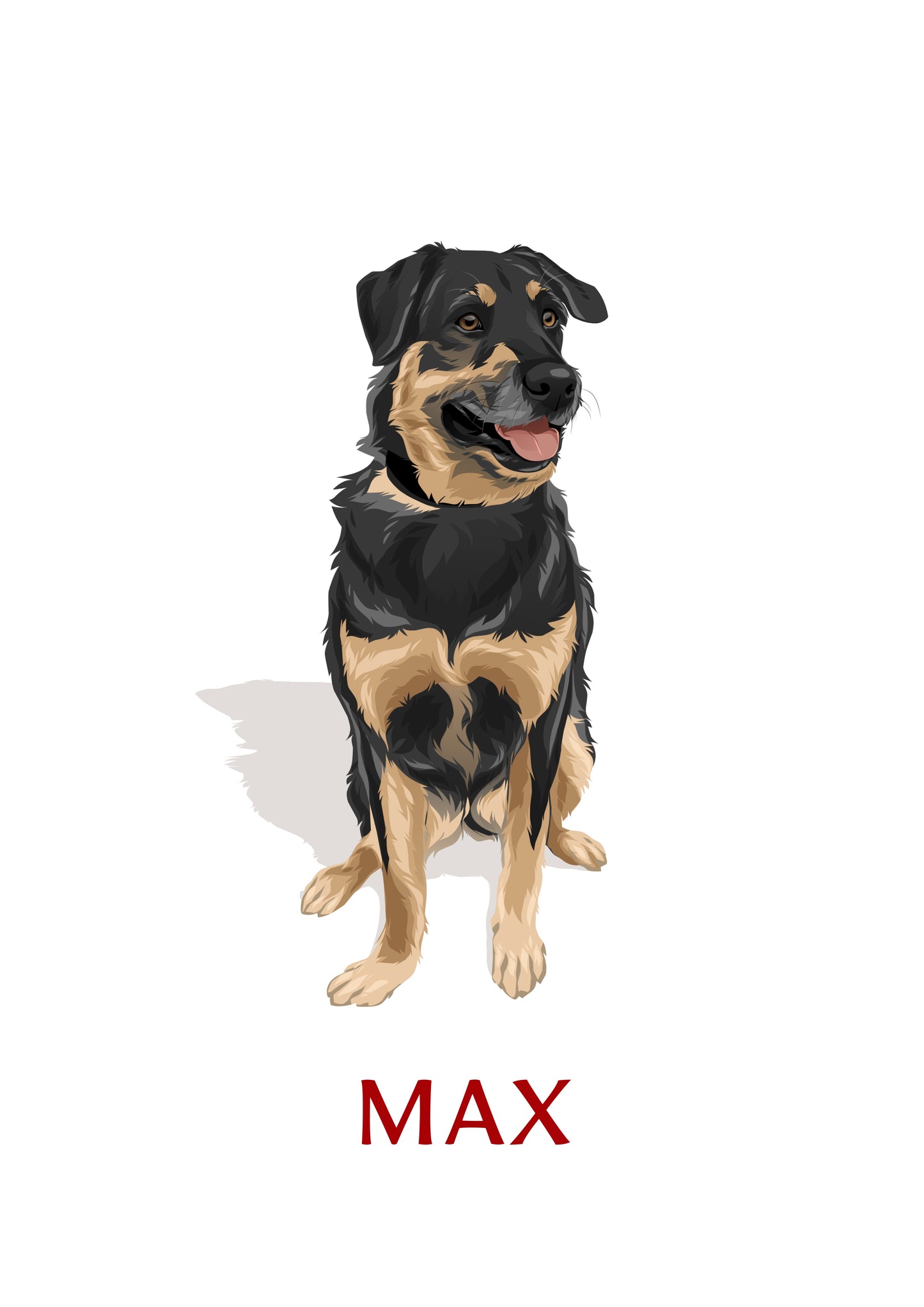 Pet Portrait Illustrated