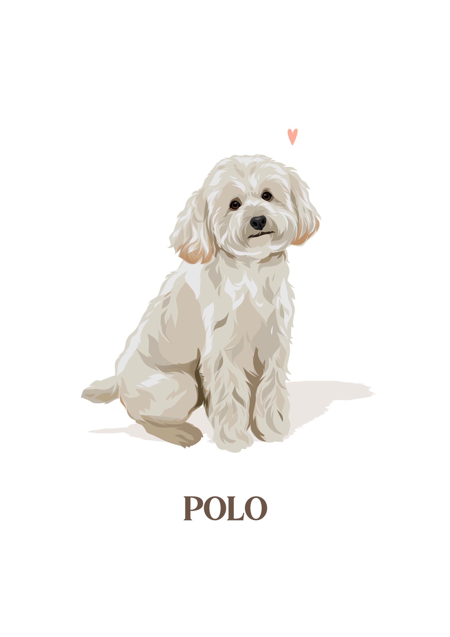 Pet Portrait Illustrated