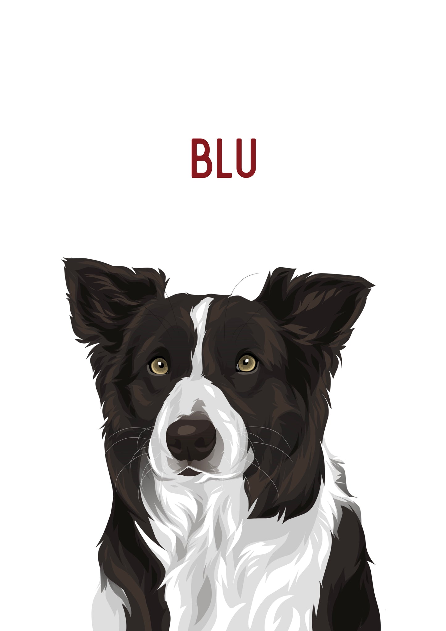 Pet Portrait Illustrated
